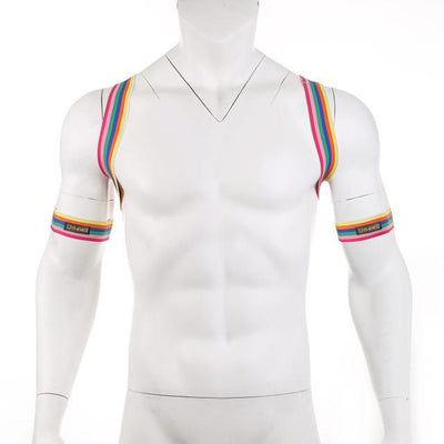 Rainbow Backpack + Arm Harness - Oh My Underwear