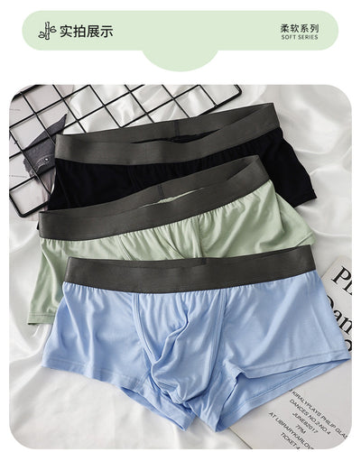 2025 Newest Bomboo Fabric Men's Breathable Sperate Pounch Trunk