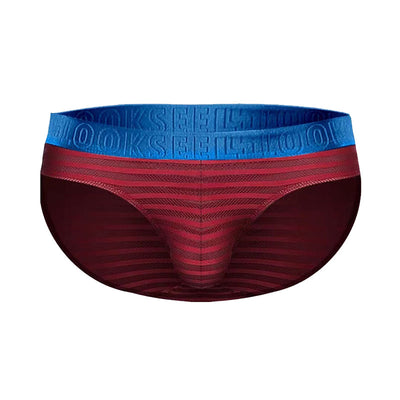 Newest Mesh Style Superior Ice Silk Cool Men's Briefs - versaley