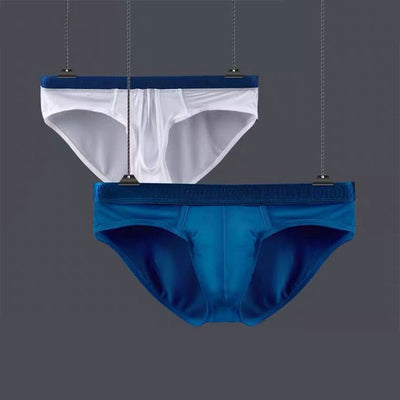 The 2nd Superior Ice Silk  Soft Dual Pouch Brief - Bird Nest Series - versaley