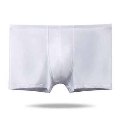 The 2nd Superior Ice Silk  Men's Trunk - versaley