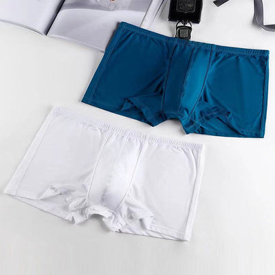 The 2nd Superior Ice Silk  Men's Trunk - versaley