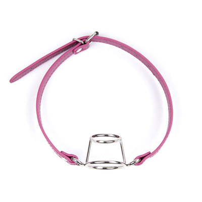 Metal Ring Plug Leather Double Ring Mouth Ball