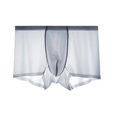 2021 Men's Ice Silk Breathable Underwear - versaley