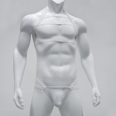 Jockstrap + Triple Harness