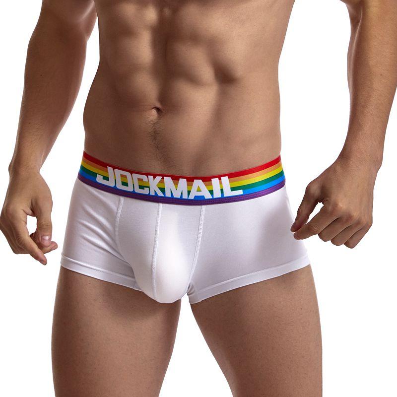 Rainbow Band Boxer Briefs underwear