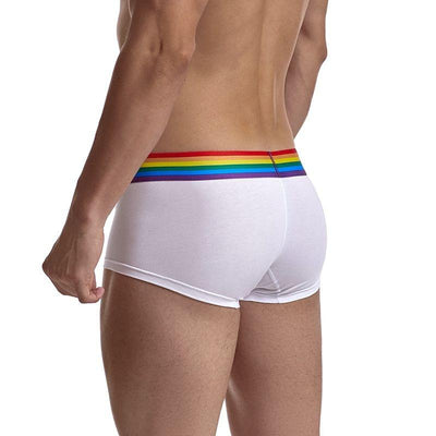 Jockmail Rainbow Band Boxer Briefs