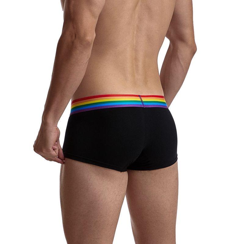 Jockmail Rainbow Band Boxer Briefs