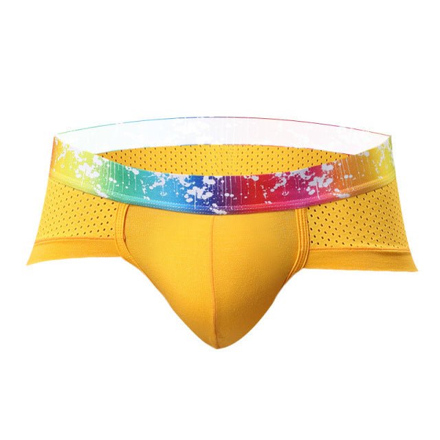 Rainbow Band Mesh Briefs underwear