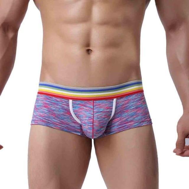 Rainbow Band Mesh Square Cut Boxer Briefs underwear