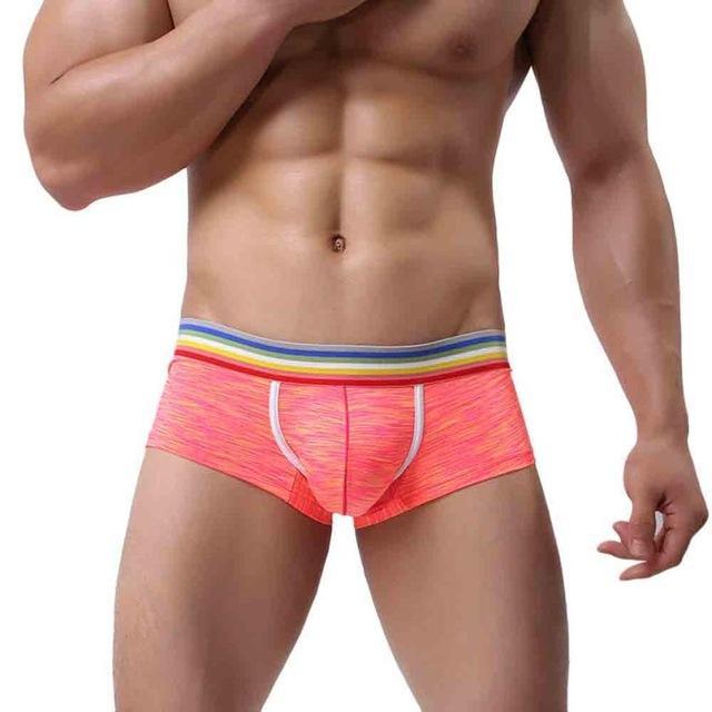 Rainbow Band Mesh Square Cut Boxer Briefs underwear