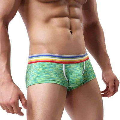 Rainbow Band Mesh Square Cut Boxer Briefs underwear