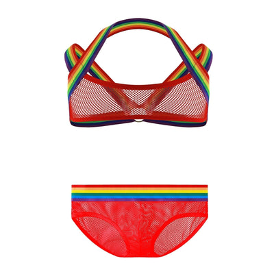 Rainbow Mesh Harness + Briefs