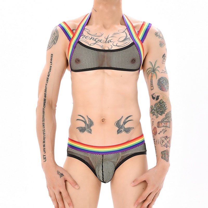 Rainbow Mesh Harness + Briefs