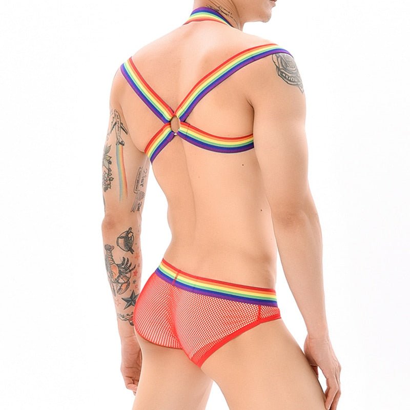 Rainbow Mesh Harness + Briefs