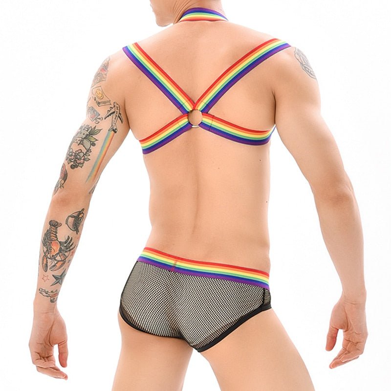 Rainbow Mesh Harness + Briefs