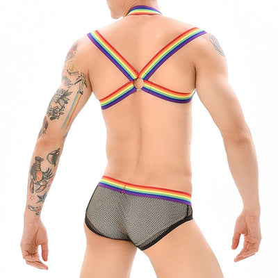 Rainbow Mesh Harness + Briefs